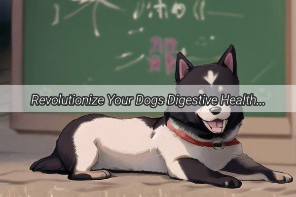 Revolutionize Your Dogs Digestive Health Discover the Ultimate Medication Guide